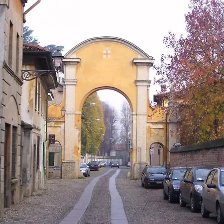 Sforza 19