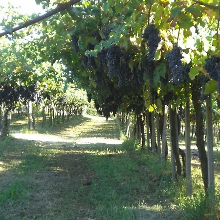 Sforza 19 Bed & Breakfast San Colombano al Lambro